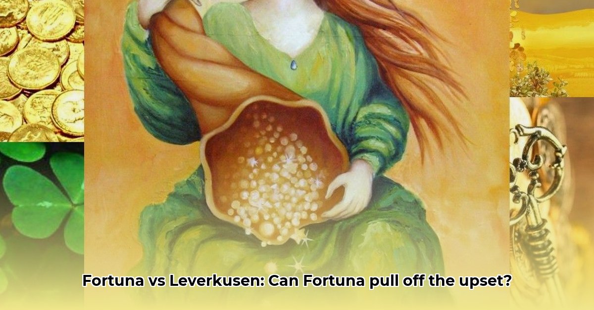 fortuna-sittard-bayer-leverkusen